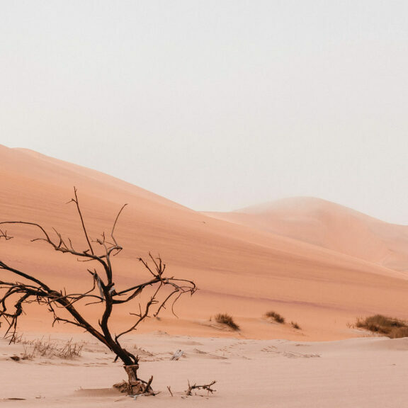 barren-desert